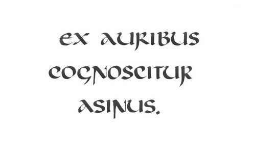 安色尔文本中的拉丁书法谚语照片