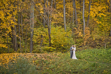美丽的秋季景观和一对年轻夫妇走在远
