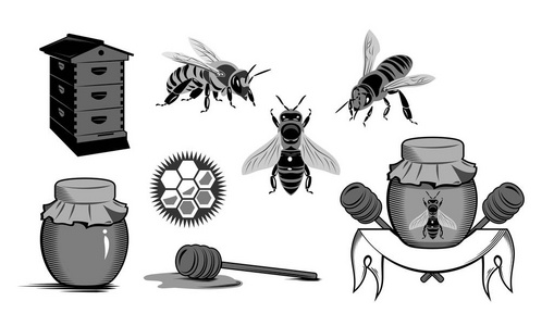 一组蜜蜂蜂巢的图片，以设计标签图标和其他艺术项目