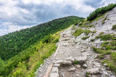 山上的徒步旅行小径，山谷的全景，绿色森林，荒野中的常青自然