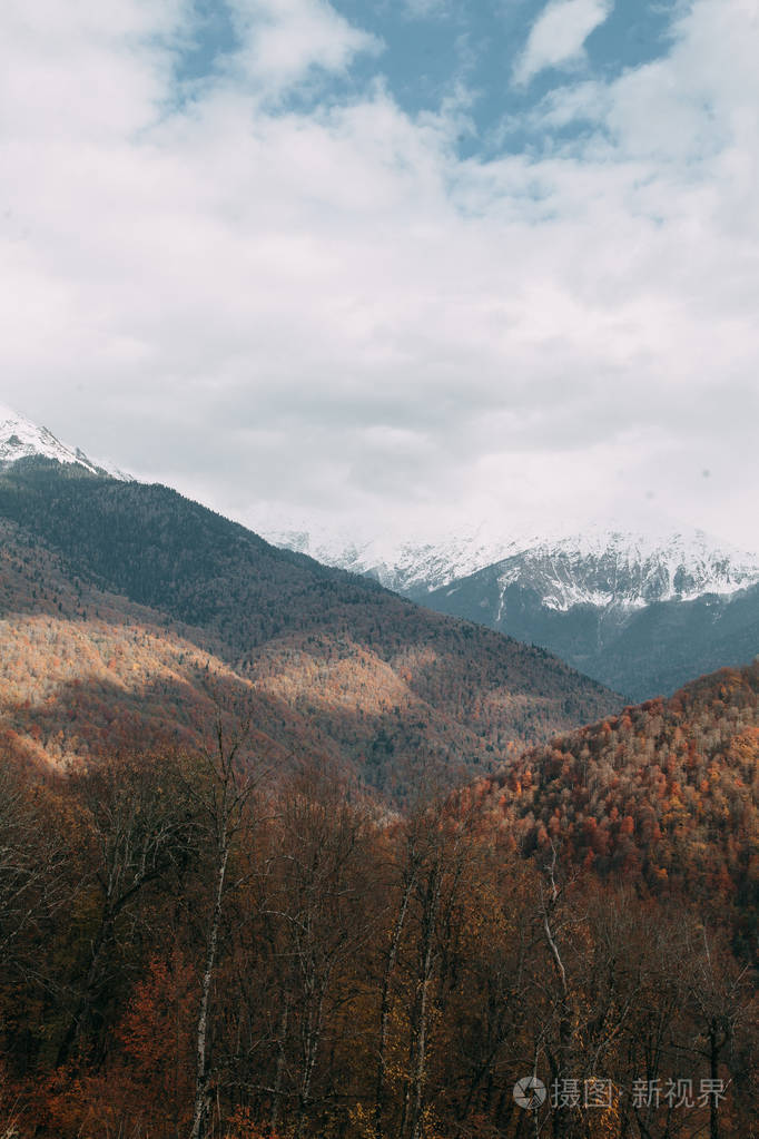 山种在索契的一片红色的山坡上白雪覆盖的山峰在云层之上