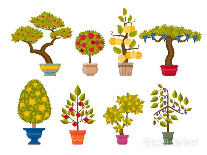 盆景树集 花盆装饰植物插画 正版商用图片111axr 摄图新视界