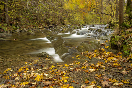 Bieszczady 山