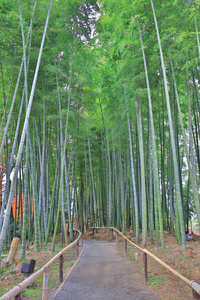 Chion 禅园主门