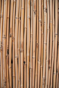 干竹栅栏抽象背景
