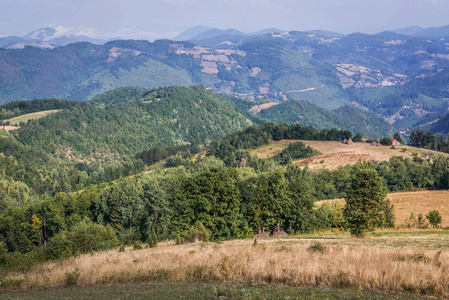 Zlatibor 地区在塞尔维亚