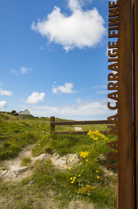 野生大西洋方式路标在 Carrickfinn, Co. 尼