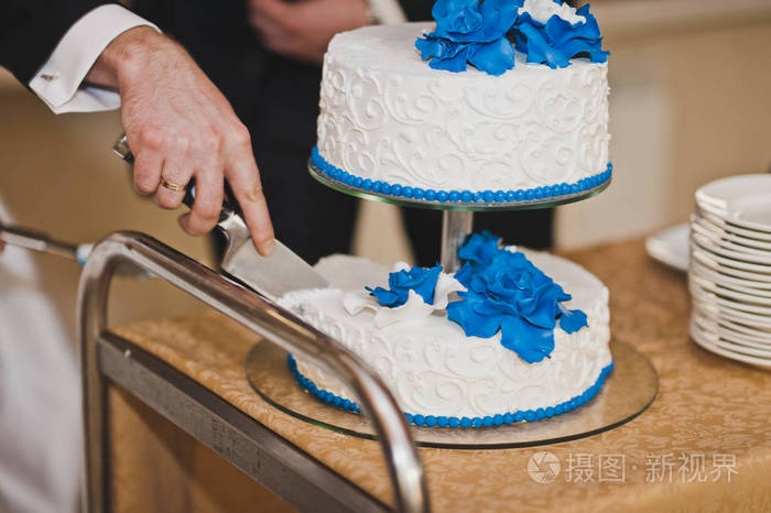 一个巨大的蛋糕与蓝色的花朵从奶油7922