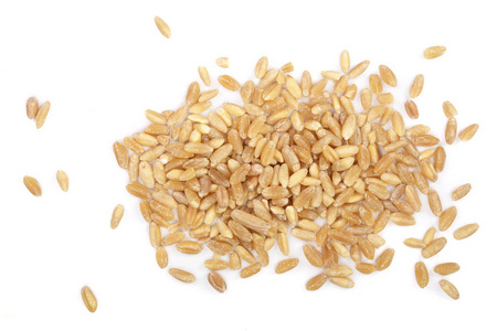 小麦籽粒在白色背景下分离.顶部视图.平躺照片