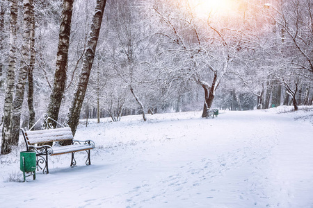 公园的长椅上和被大雪覆盖的树木