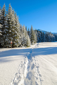 波兰坎德拉托瓦谷塔特拉山的冬季雪迹