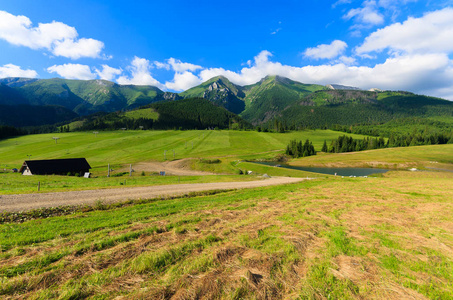 斯洛伐克兹迪亚尔的塔特拉山绿色夏季景观