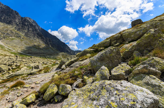 高山河谷岩石夏季景观5湖谷皮亚特斯皮斯克奇平原高塔特拉斯斯洛伐克