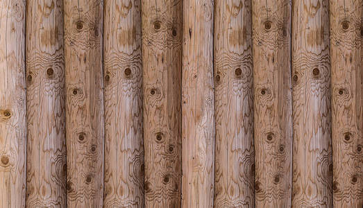 松树原木垂直天然乡土图案轻木照片