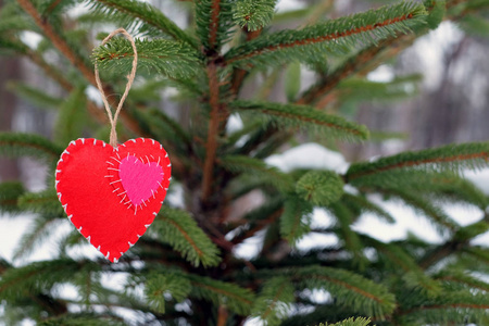 s Day. Red heart with hang on branches. The concept of Valentine