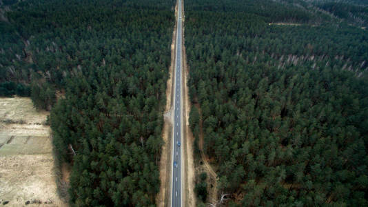 从一只鸟瞰图看沥青路和秋天森林。自然航空摄影