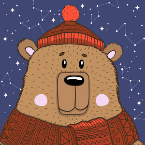 可爱的熊在夜里戴着帽子和围巾.手绘插画动物照片