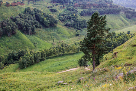 基斯洛沃茨克夏季的绿色宁静的山脉景观