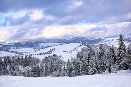 冬日里山上美丽的雪景