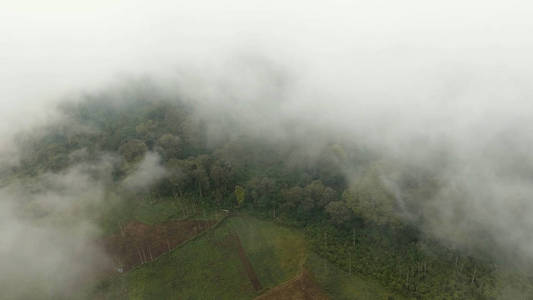 山上的农田在雾中。贾瓦岛, 印度尼西亚