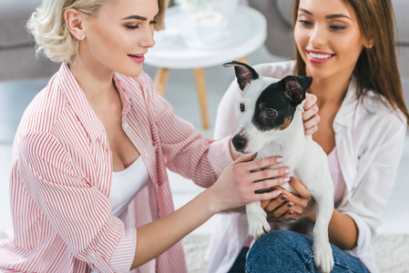 有魅力的女孩和杰克罗塞尔猎犬在家