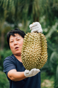 持榴莲的亚洲农夫是水果之王