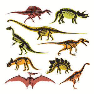 恐龙骨架和轮廓矢量平面孤立图标。霸王龙翼龙和龙的侏罗纪爬行动物化石，用于恐龙考古博物馆设计