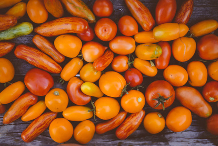 新鲜 成熟的番茄木背景的特写镜头