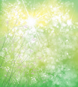 矢量夏天，绿色，自然背景，花朵上的bokeh绿色背景。