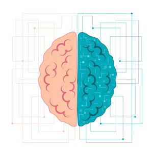 大脑的人工智能。左和右半球与神经连接