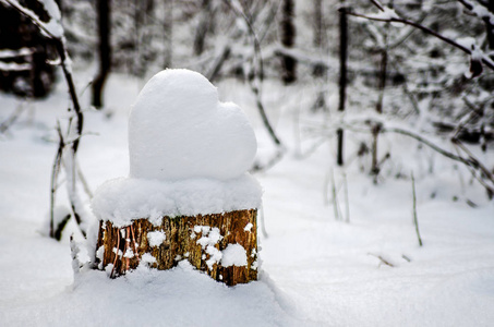 一颗巨大的雪心躺在覆盖着雪的上，躺在覆盖着雪的冬林里。