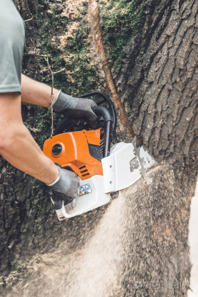 树链锯切割树
