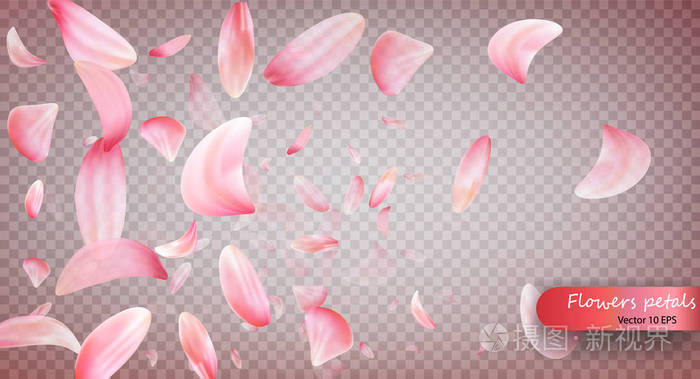 婚礼, 情人节或妇女节粉红色的花朵在风中飞舞的背景.