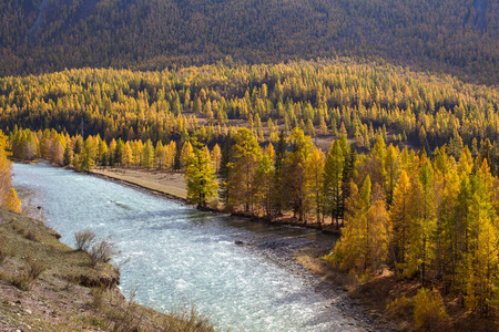 秋季阿尔泰共和国俄罗斯阿屯河景观。