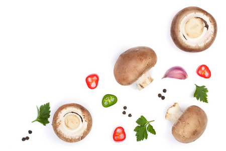 新鲜的香菇蘑菇与香菜孤立在白色背景与复制空间为您的文本。顶部视图