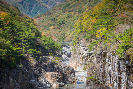 秋天在尼科国家公园跌倒