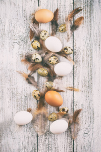 复活节背景由复活节彩蛋和鸡羽框架制成