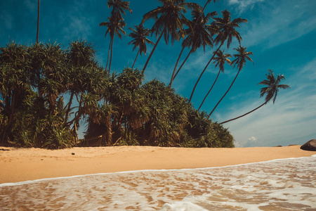 海洋海岸与椰子棕榈树。热带度假, 自然背景。柔和的波浪在狂放地被遗弃的未触动的海滩。天堂田园风光。前往斯里兰卡。生态旅游理念。复
