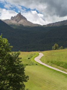 蜿蜒步行小径穿过草地, 意大利阿尔卑斯山山区的背景