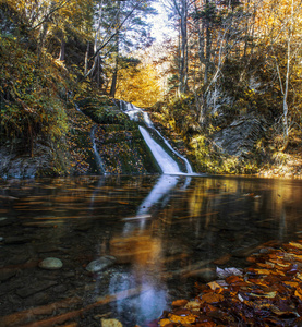 美丽的瀑布，秋天的森林里有树黄叶岩石和石头。 乌克兰喀尔巴阡山脉。