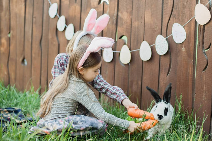 小女孩在花园里和动物玩耍.男孩哺养的兔子红萝卜