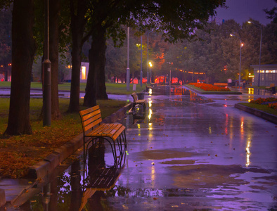 秋天雨夜图片唯美图片