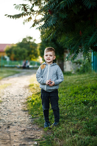 在花园外面摆姿势的金发可爱男孩的肖像