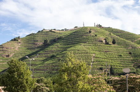 Hermitage, Rhone valley, France