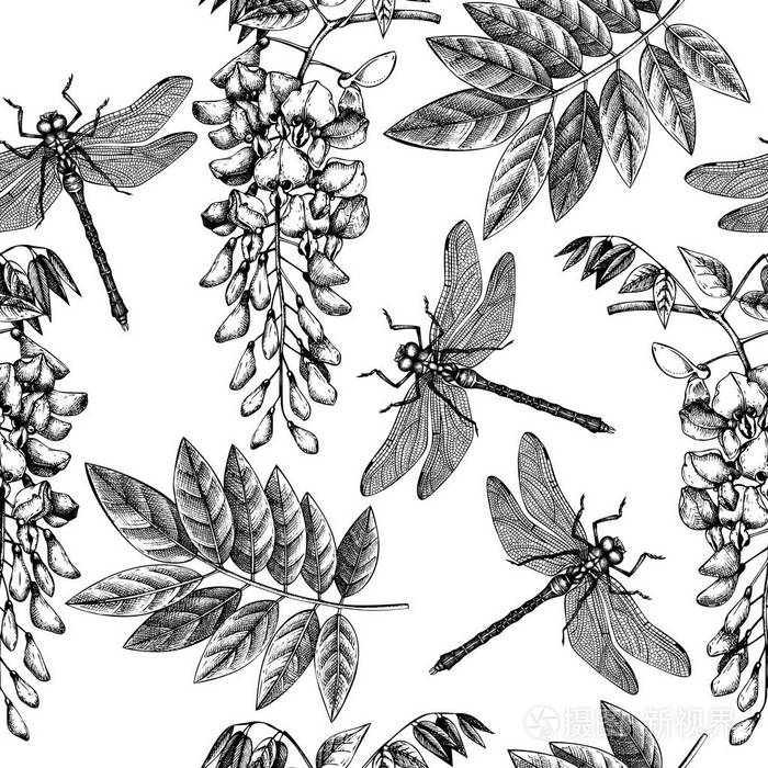 病媒昆虫素描. 维纳奇弹簧背景. 植物插图.