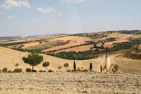 Orcia Valley