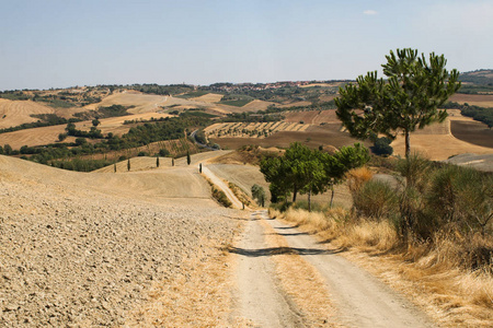 Orcia Valley