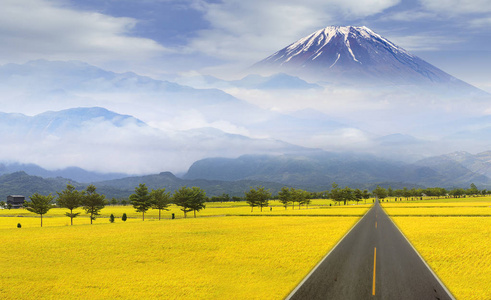 稻田有山的背景