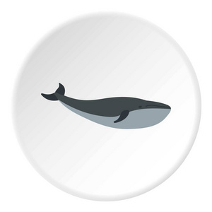 鲸鱼图标圈子