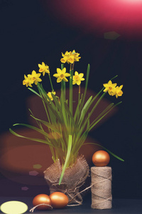 快乐复活节彩蛋。 节日兔子和鸡蛋春季花背面的传统鸡蛋涂在金色的线轴和花束水仙花分离在黑色背景上。 快乐的复活节